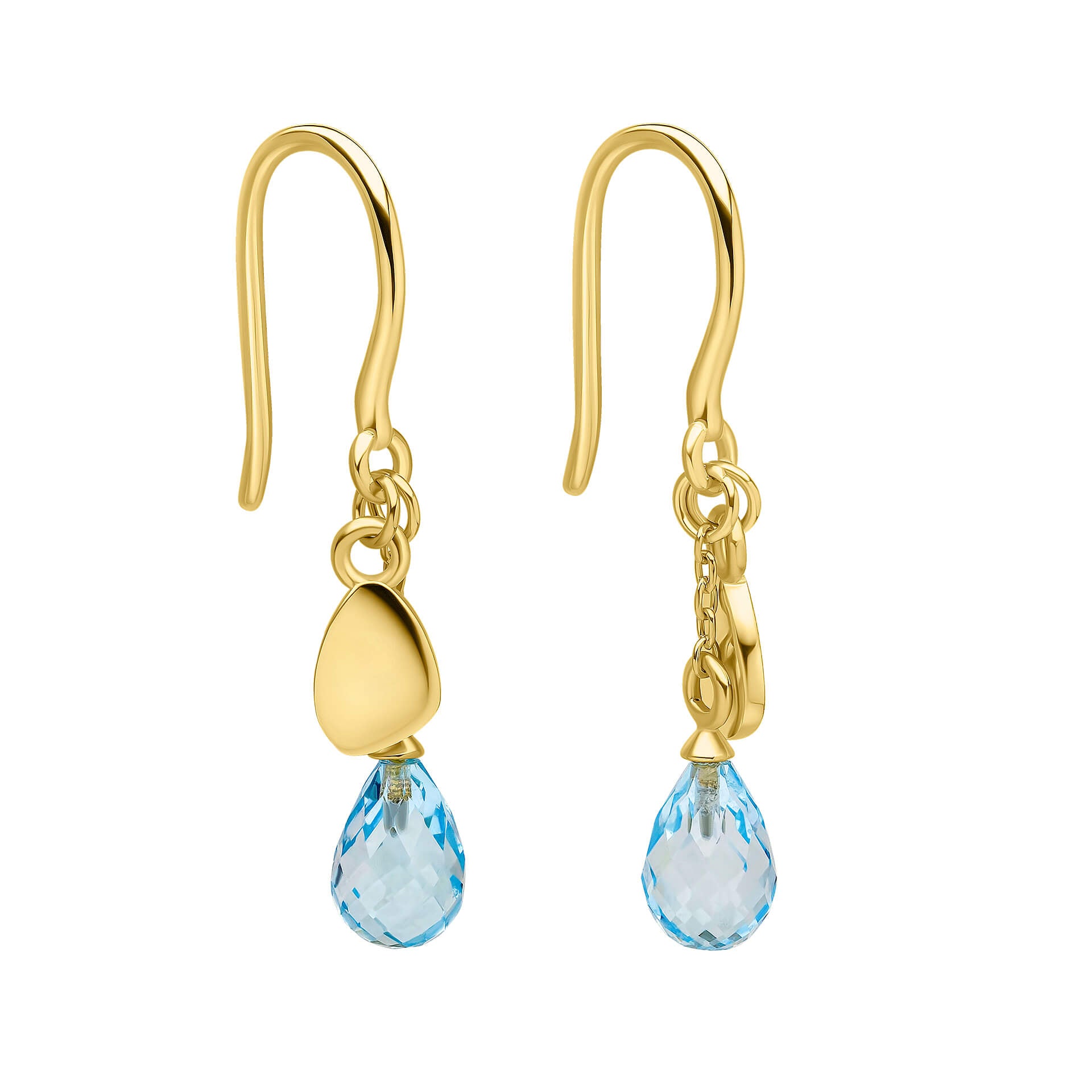 Everingham Meadow Semi-Precious Briolette Earrings