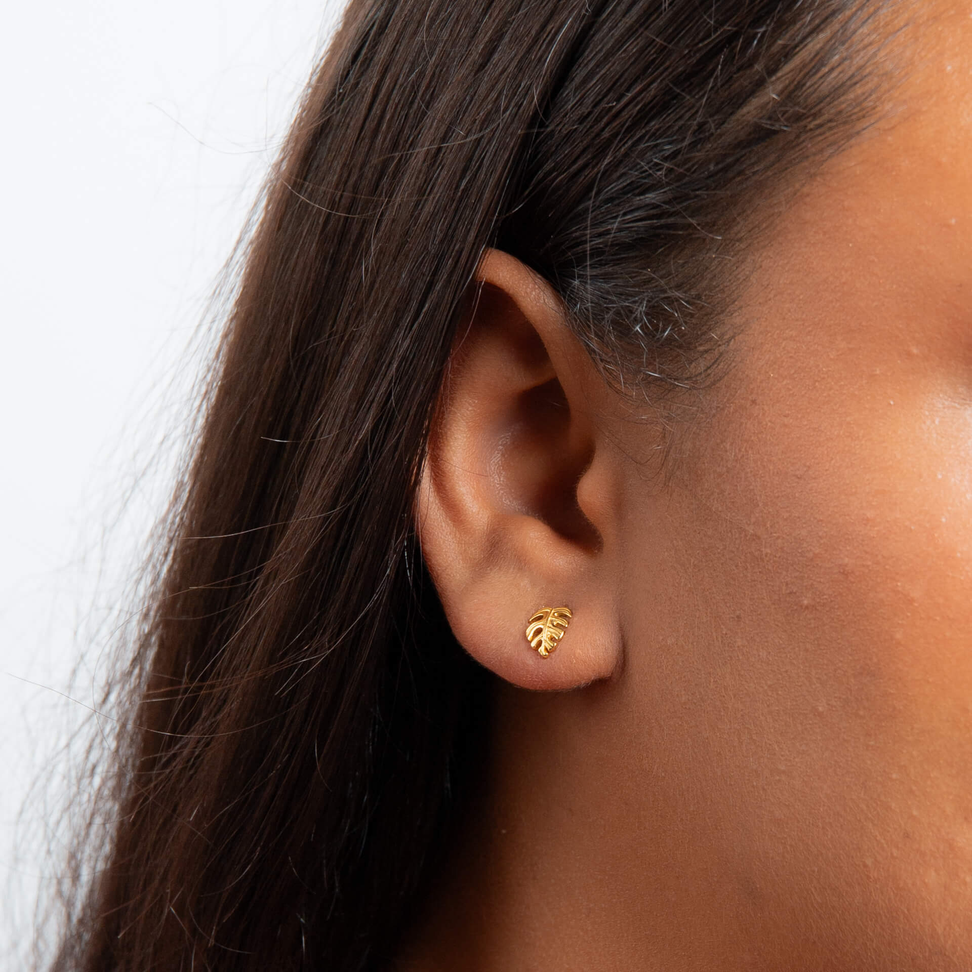 Monstera Leaf Stud Earrings