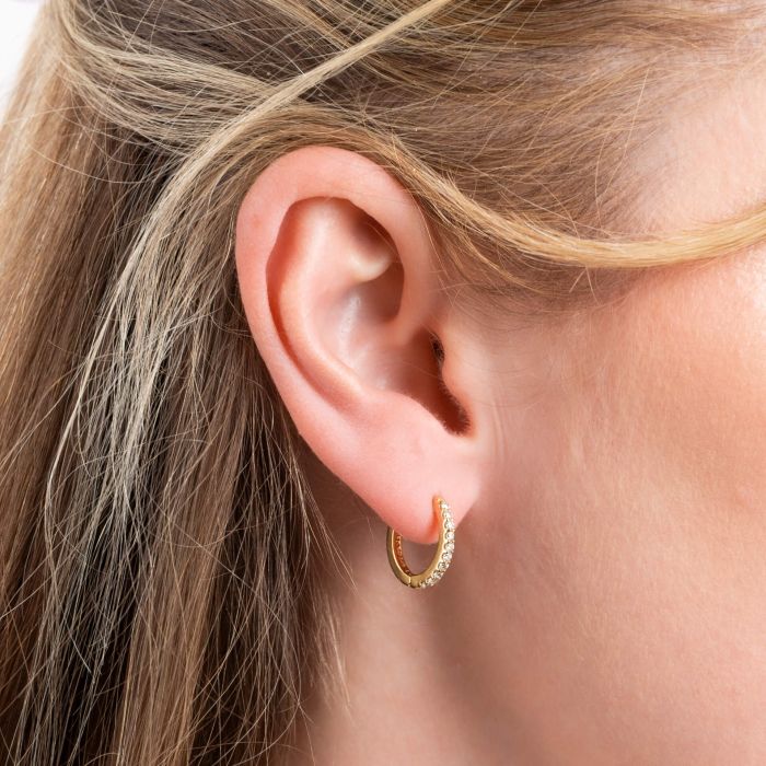 Medium Claw Set Zirconia Hoop Earrings