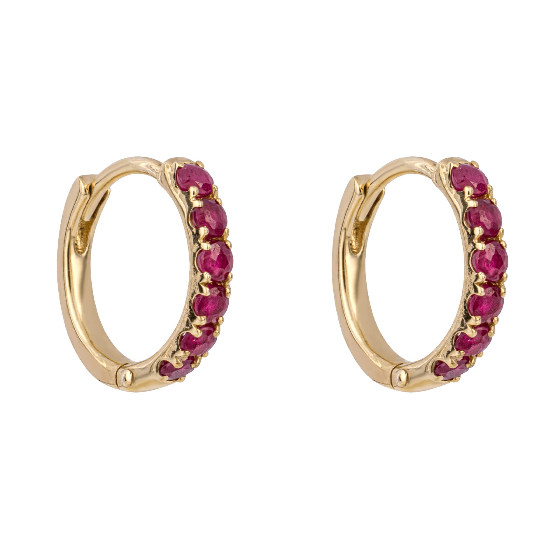Precious Stone Hoop Earrings