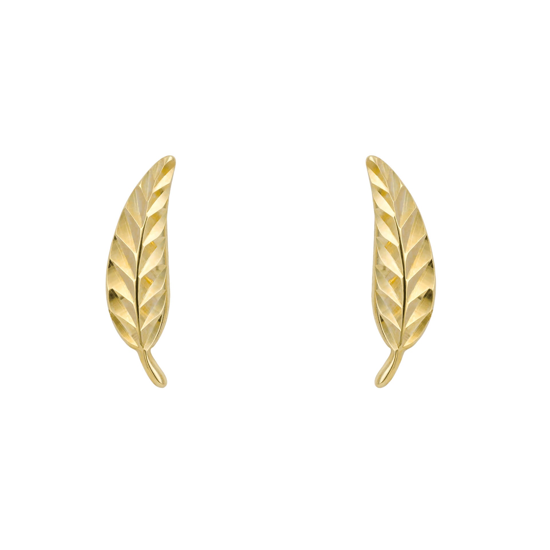 Feather Stud Earrings