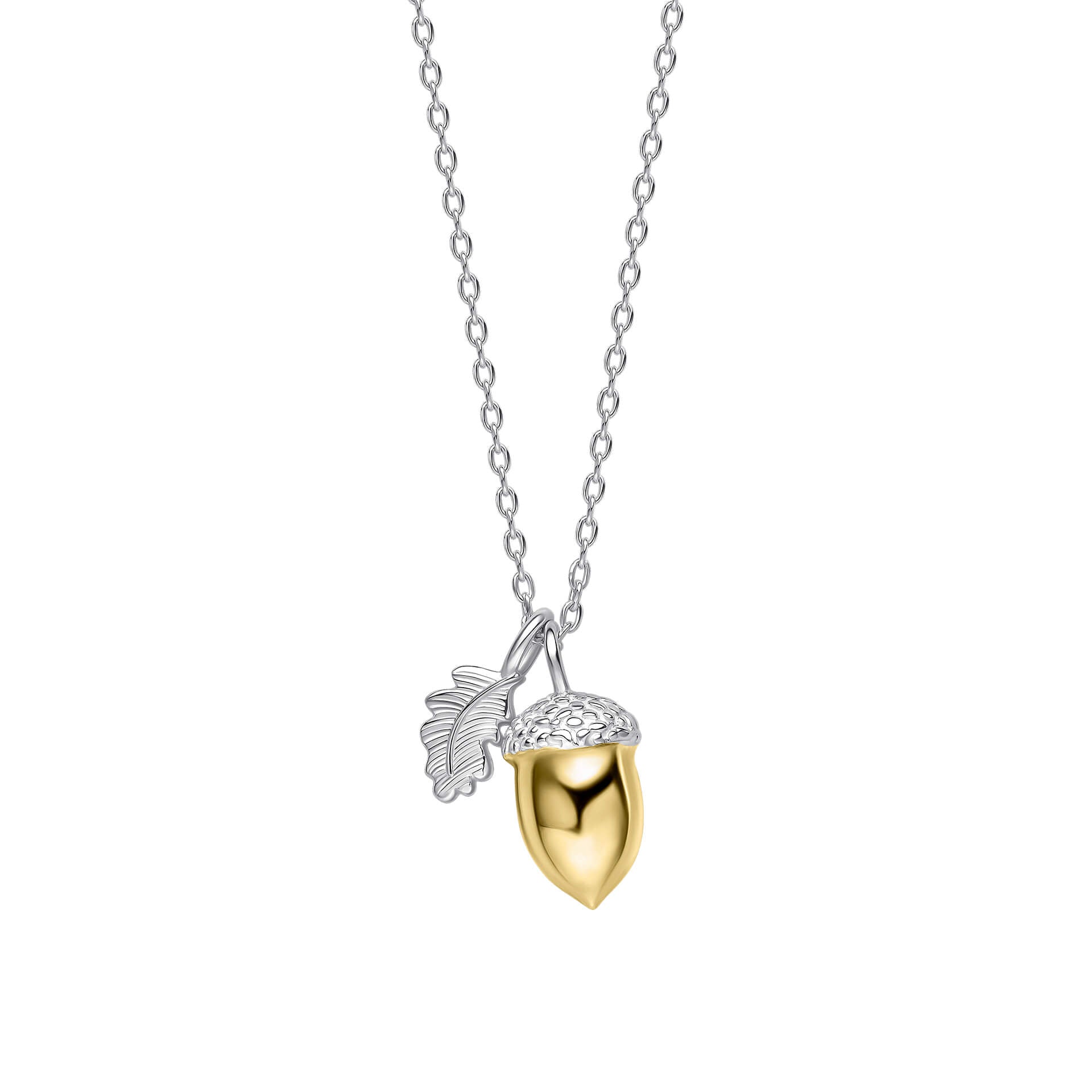 Broadoak Acorn Necklace