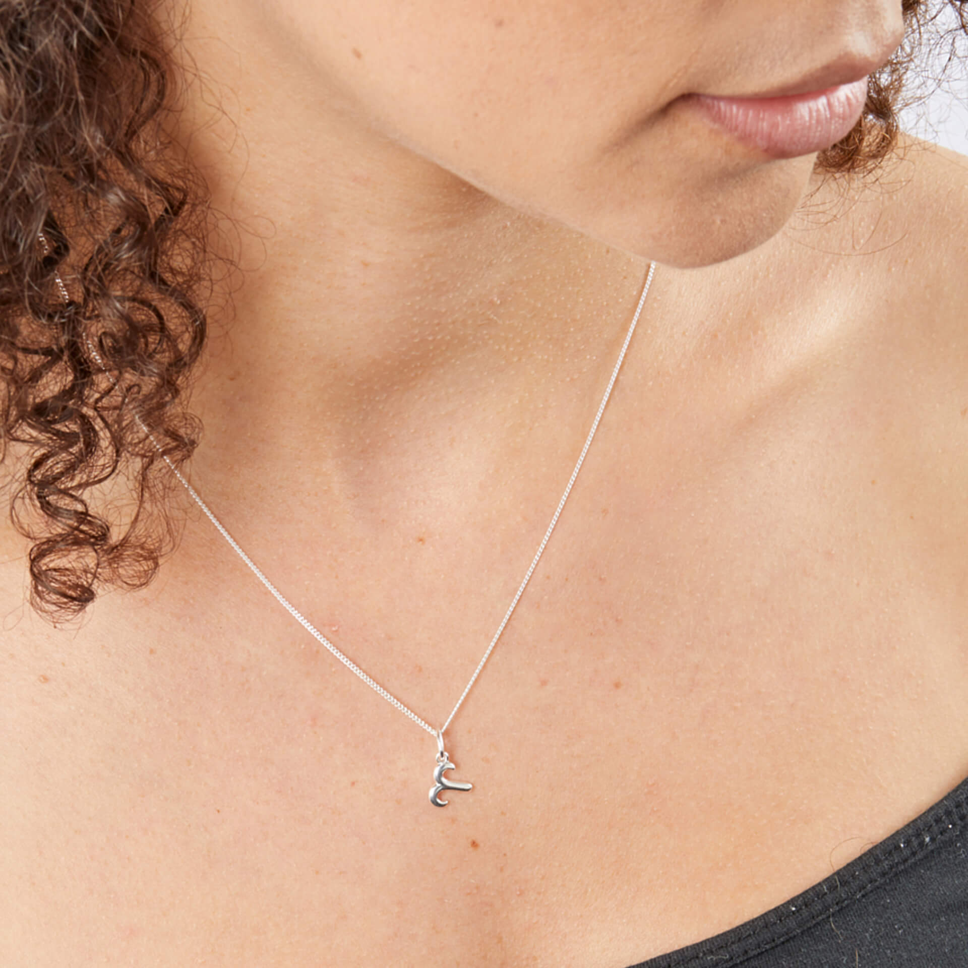 Zodiac Necklace