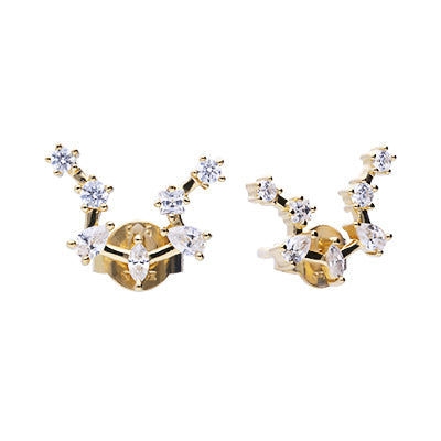 Zodiac Constellation Stud Earrings