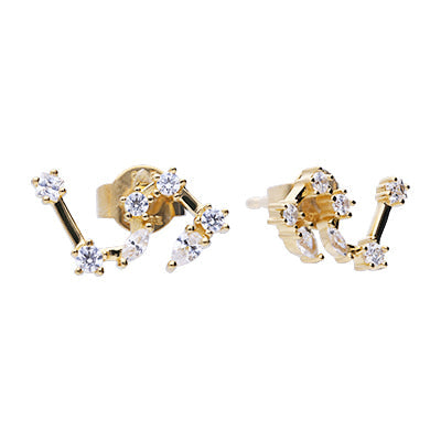 Zodiac Constellation Stud Earrings