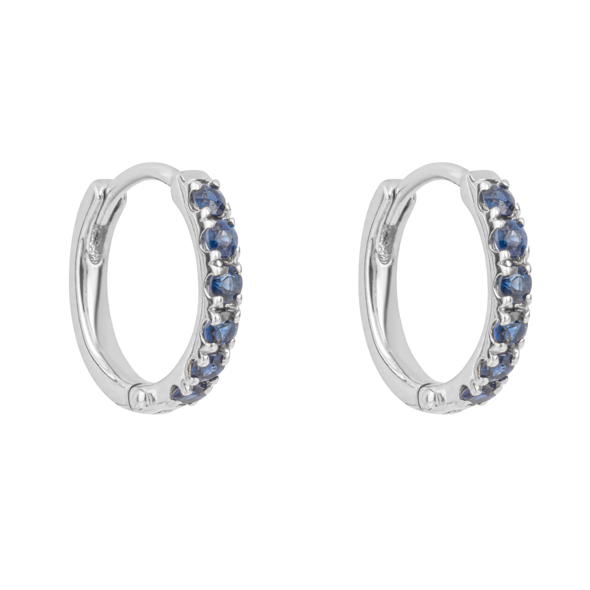 Precious Stone Hoop Earrings
