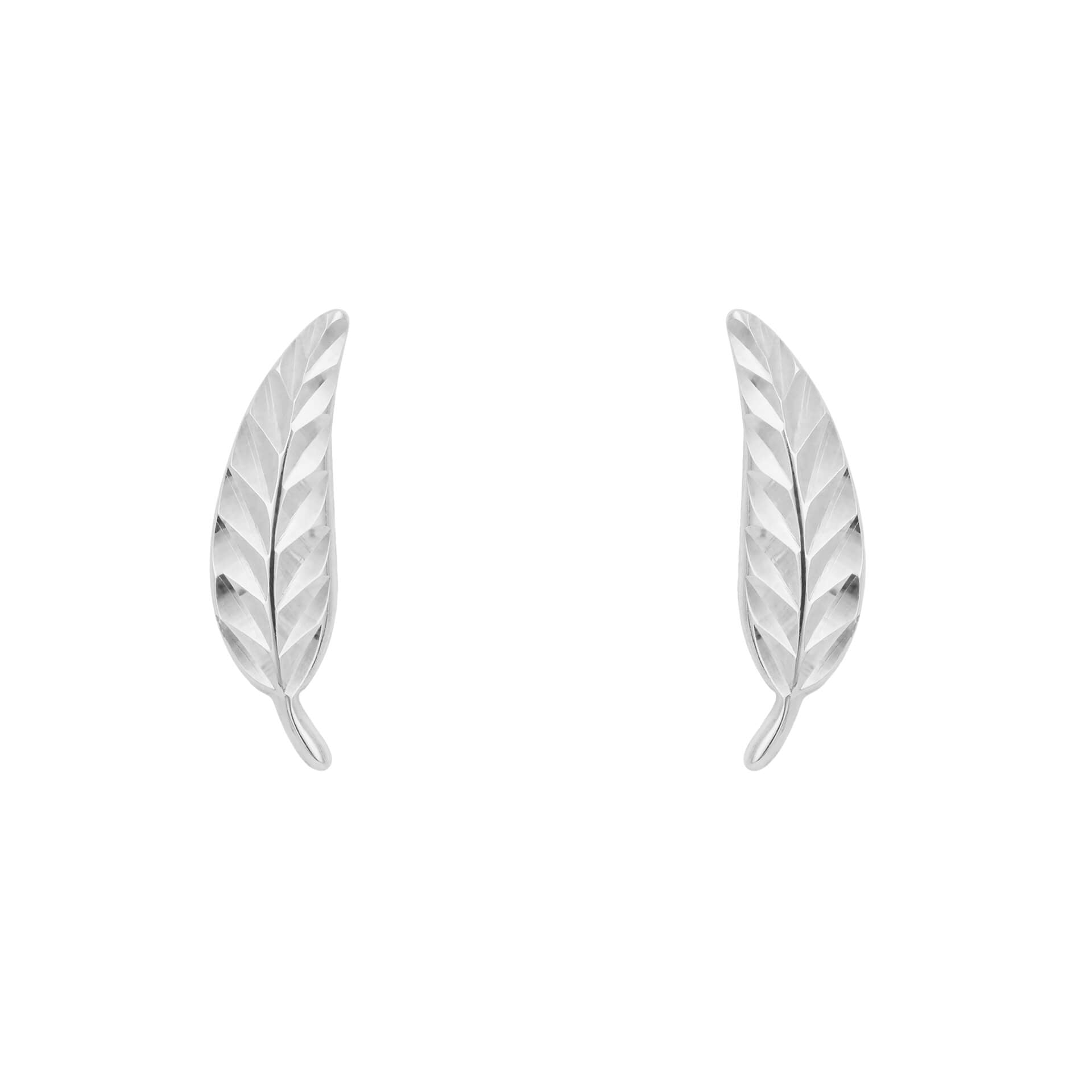 Feather Stud Earrings