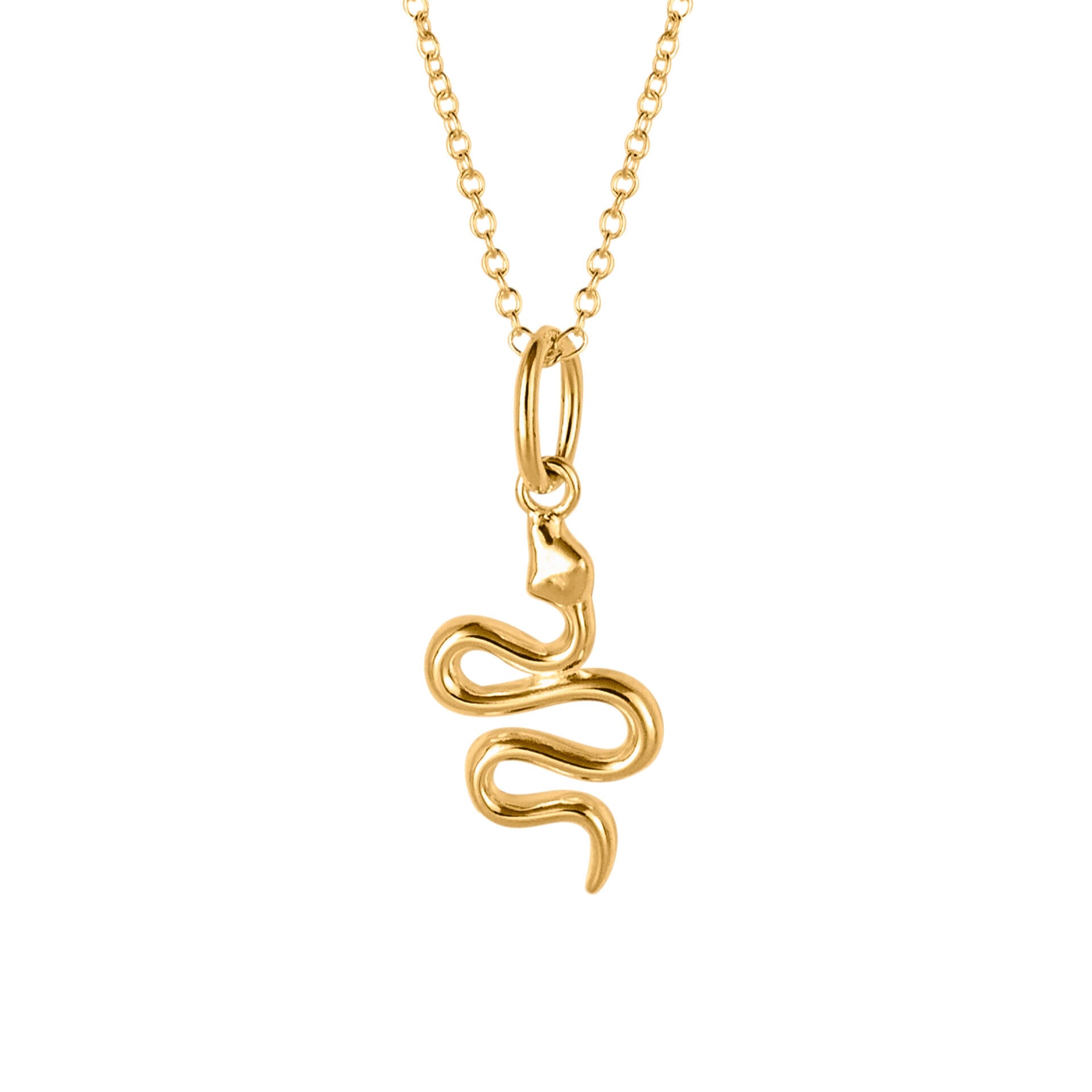 Snake Necklace