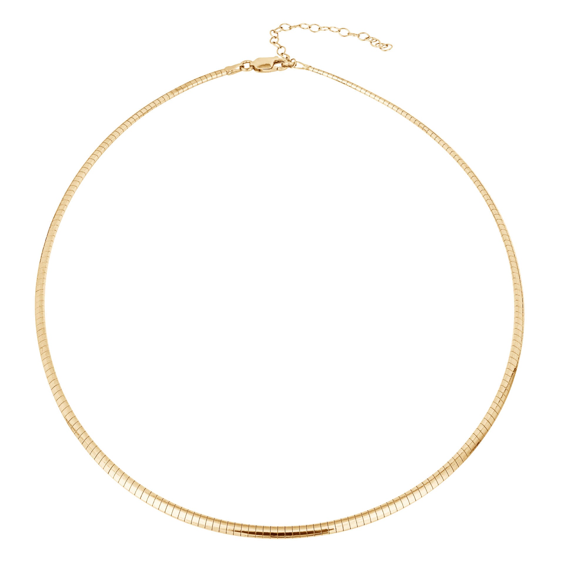 Omega Chain Necklace