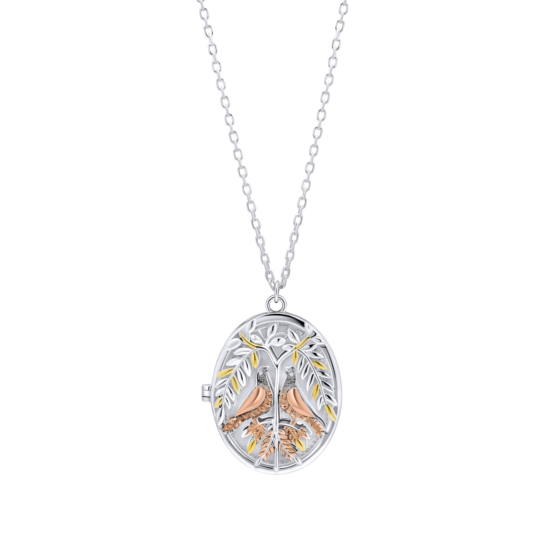 Turtle Dove Locket Necklace